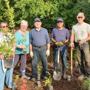 New Micro-Forest in New Tecumseth
