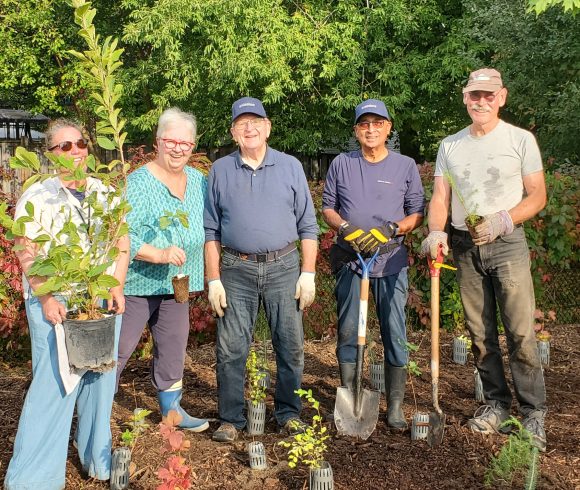 New Micro-Forest in New Tecumseth